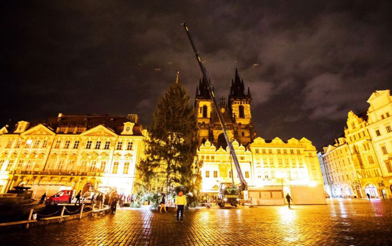 布拉格 Christmas树定位老城广场