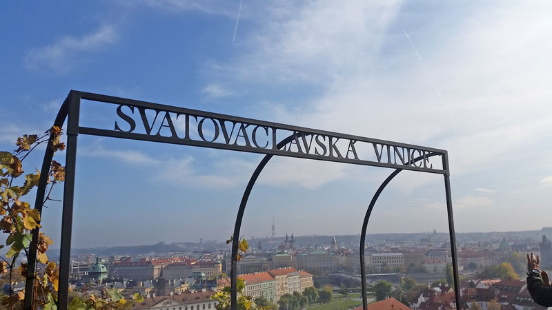 Prague城堡葡萄园进站标志带市风