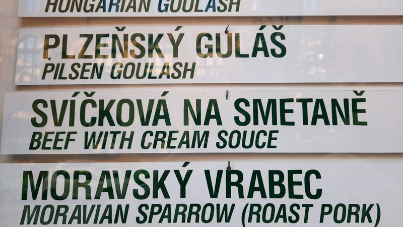 切奇食物符号像svikova加英语翻译