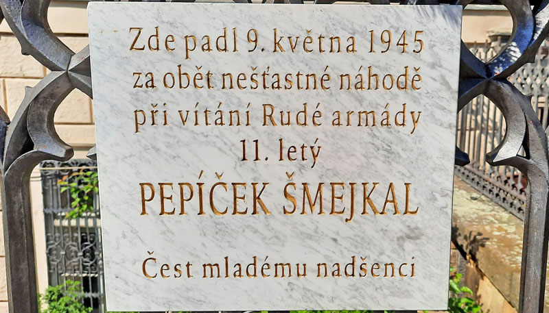 Prague起义纪念 11岁男孩prague
